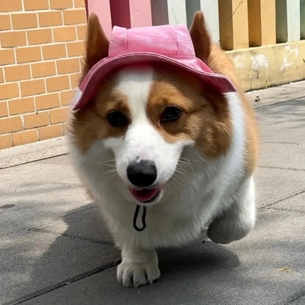 Cute French Bulldog Pet Hats with Ear Holes Adjustable Puppy Dog Cap Hat for Small Medium Dogs Pug mascotas Accessories Costume