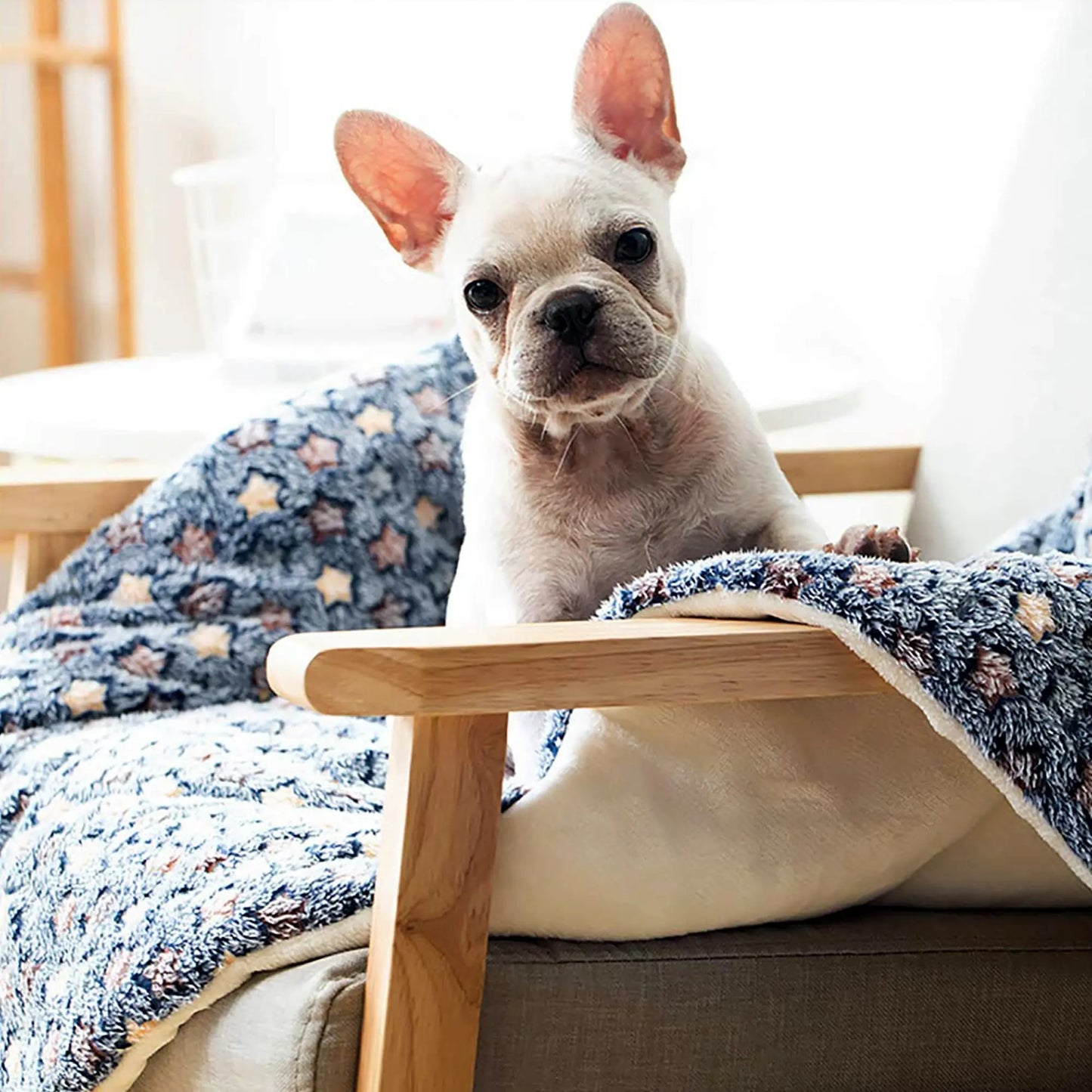 Multi-model pet flannel sleeping mat kennel mat blanket pet warm mat suitable for large medium and small pets