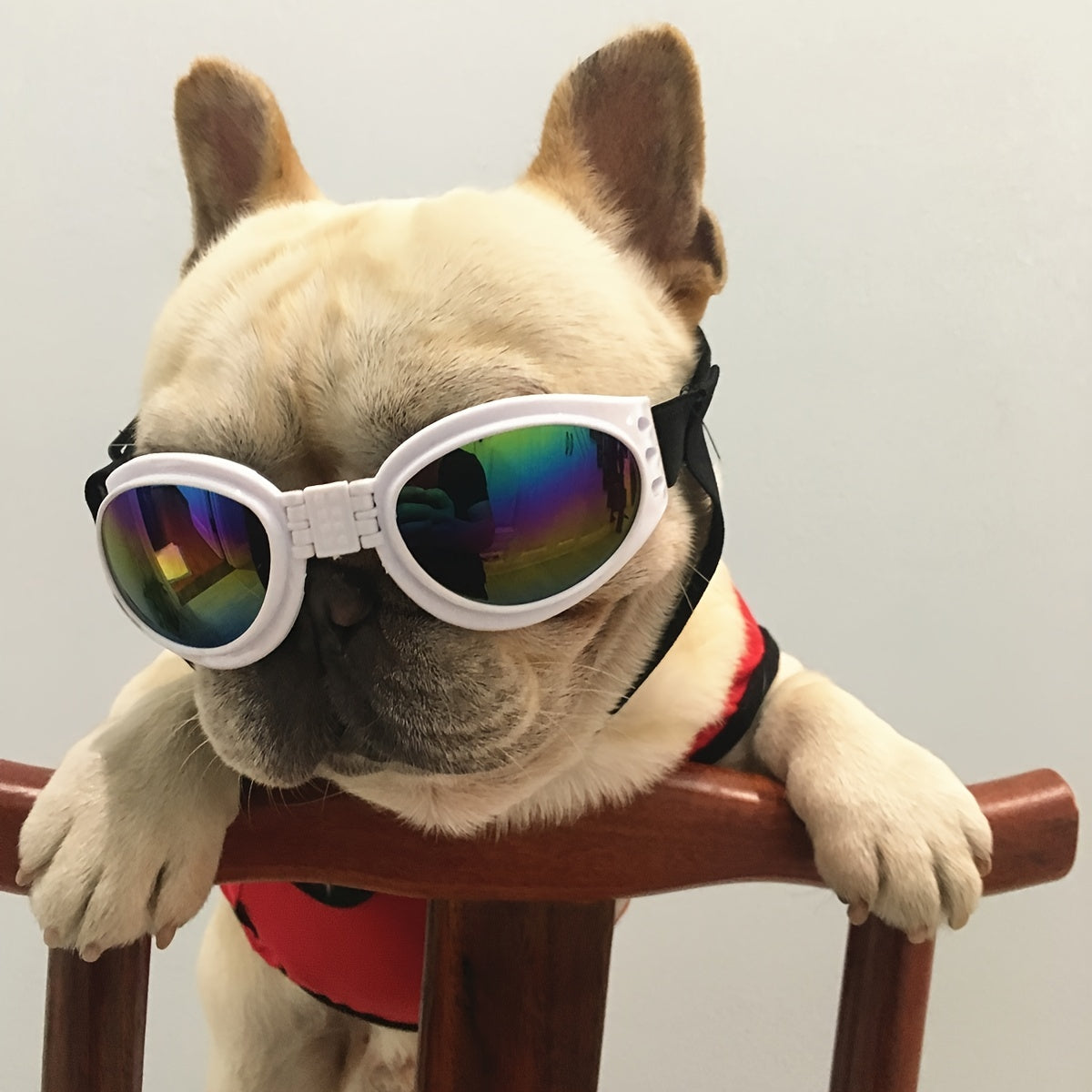 Stylish UV Protection Dog Shades - Adjustable Head Strap, Scratch-Resistant Lenses, Safe and Fashionable Eye Care for Pets - Ideal for Outdoor Activities and Travel